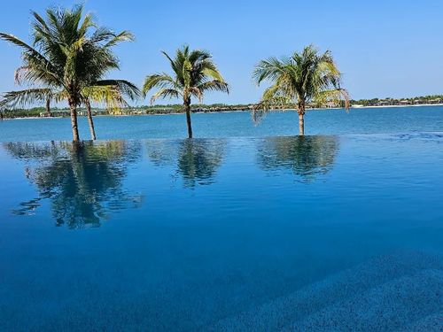 An infinity edge pool with palms and open water beyond it